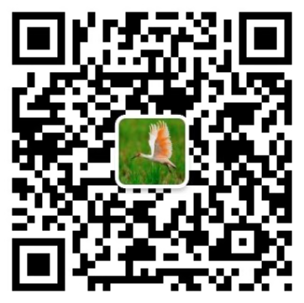 扫码联系我微信二维码