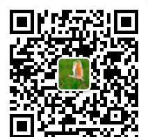 最美洋县公众号二维码